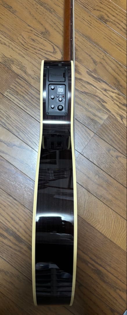 Takamine タカミネ TSP10NCS エレガットギター ナイロン弦