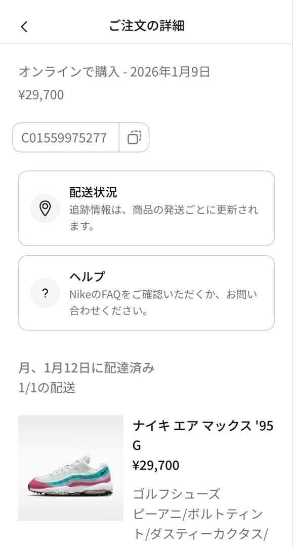ナイキ エアマックス '95 G