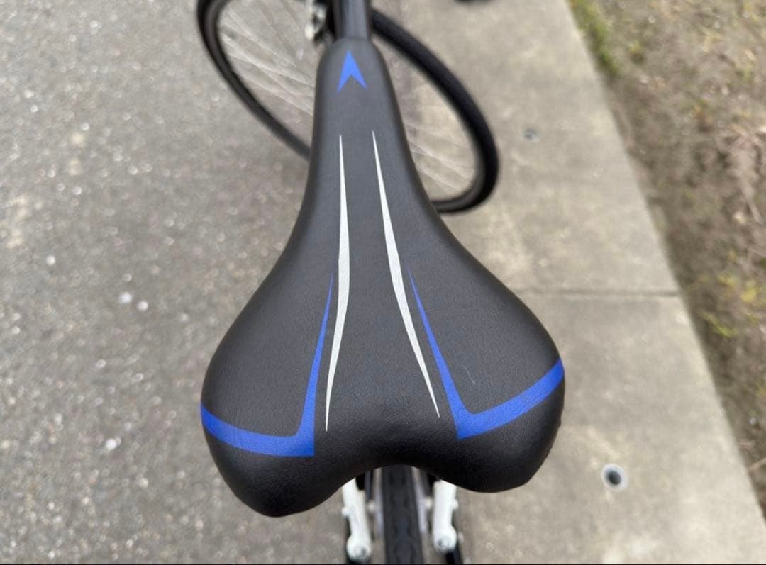 LOUIS GARNEAU LGS-CA クロスバイク 47インチ