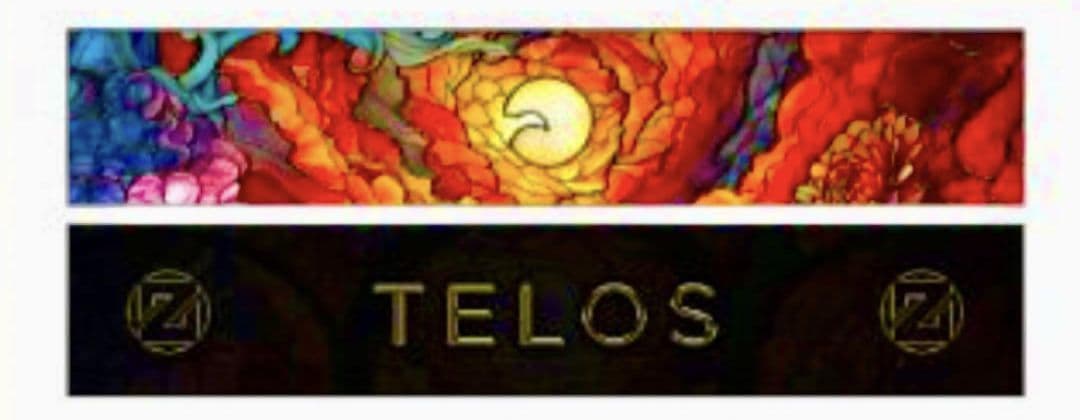 ZEDD TELOS TOUR　グッズ　FAN　扇子　タオル　新品未使用