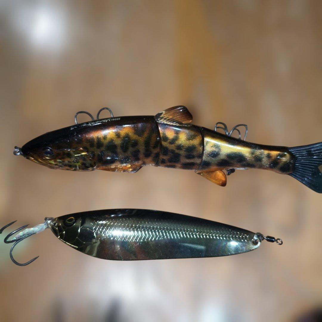 ダウズスイマー180SF　その他