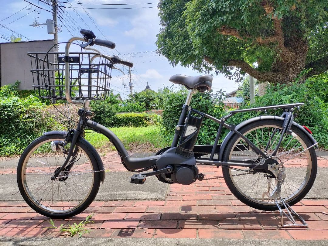 （参考出品）chon 完成写真用 パナソニック ギュットミニ