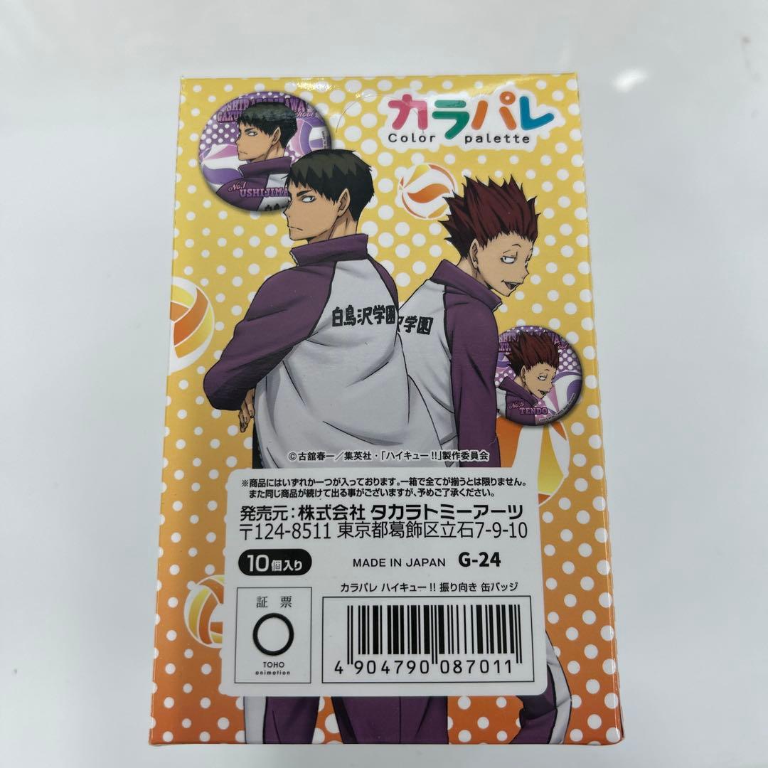 【新品未開封】ハイキュー!! カラパレ 振り向き缶バッジ 5箱（計50点）