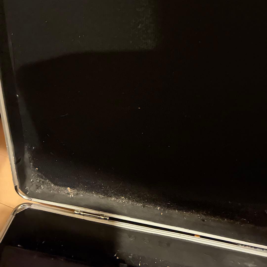 ギター GT100