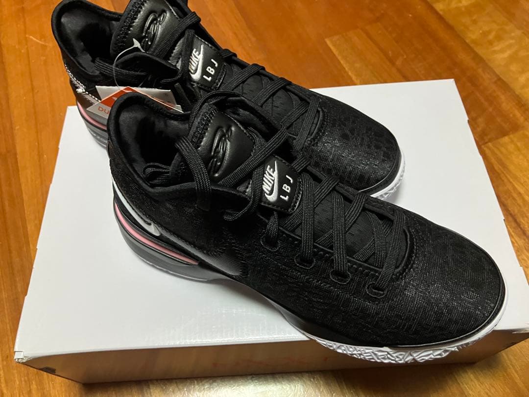 NIKE、ZOOM LEBRON NXXT GEN EP、27センチ