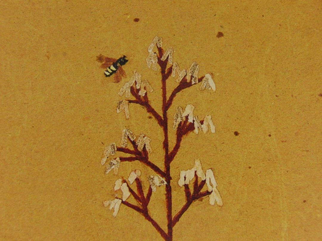 山下清、【ゆきのしたと蜂】、希少な額装用画集より、美品、日本人画家、新品額装付
