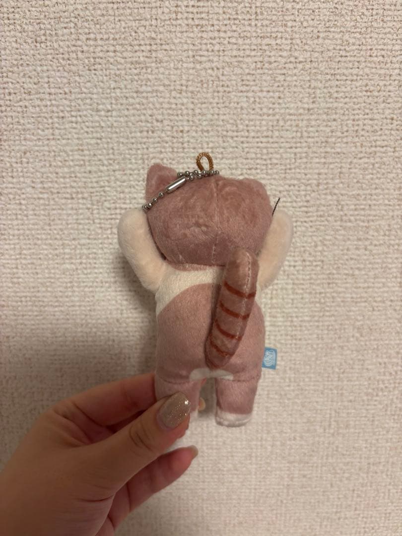 ずっと真夜中でいいのに。ぬいぐるみ しょがスト