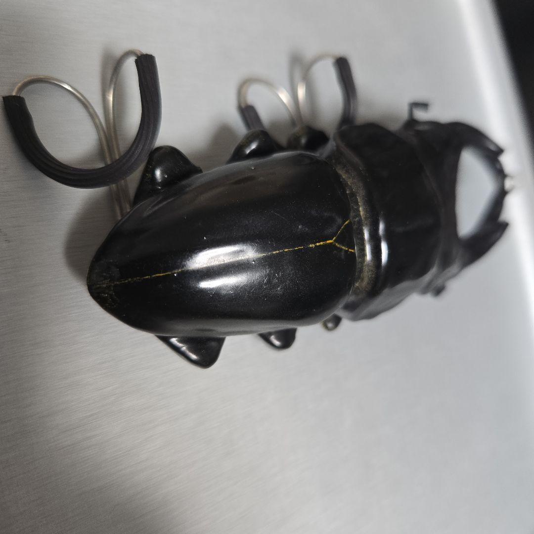 AHPL シリースタイル オオクワガタ 袋付き