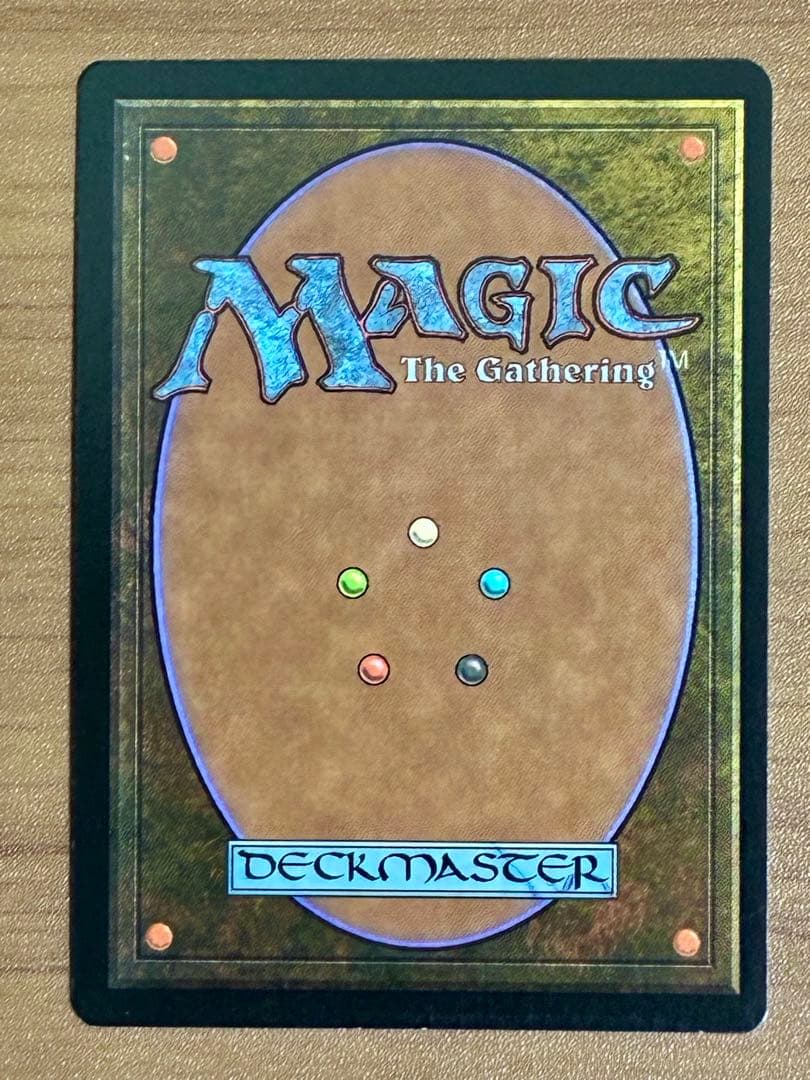 MTG ヒッコリーの植林地/Hickory Woodlot FOIL日本語 １枚