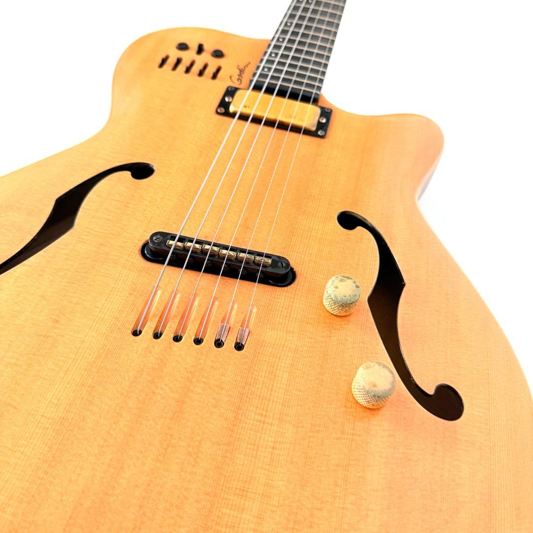 【希少】GODIN MULTIAC JAZZ SA セミアコースティックギター