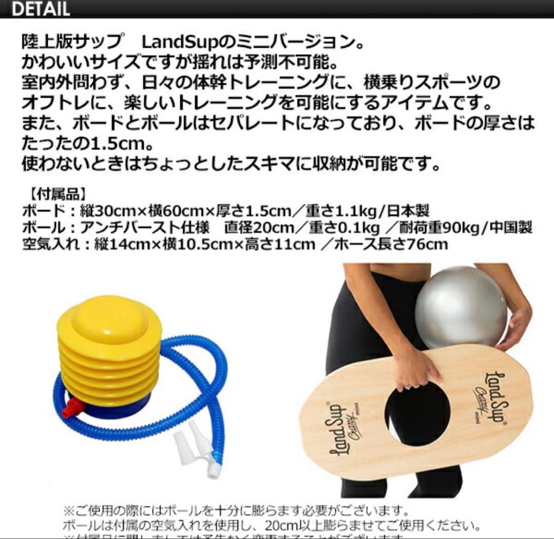Land sup Crazy mini バランスボード　ランドサップ