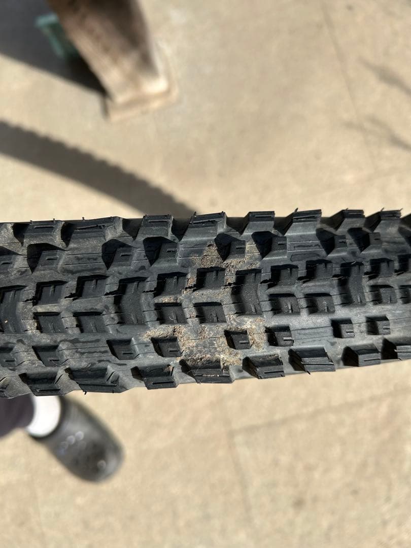 テラベイルTERAVAIL Ehline 27.5×2.5 Tan 2本セット