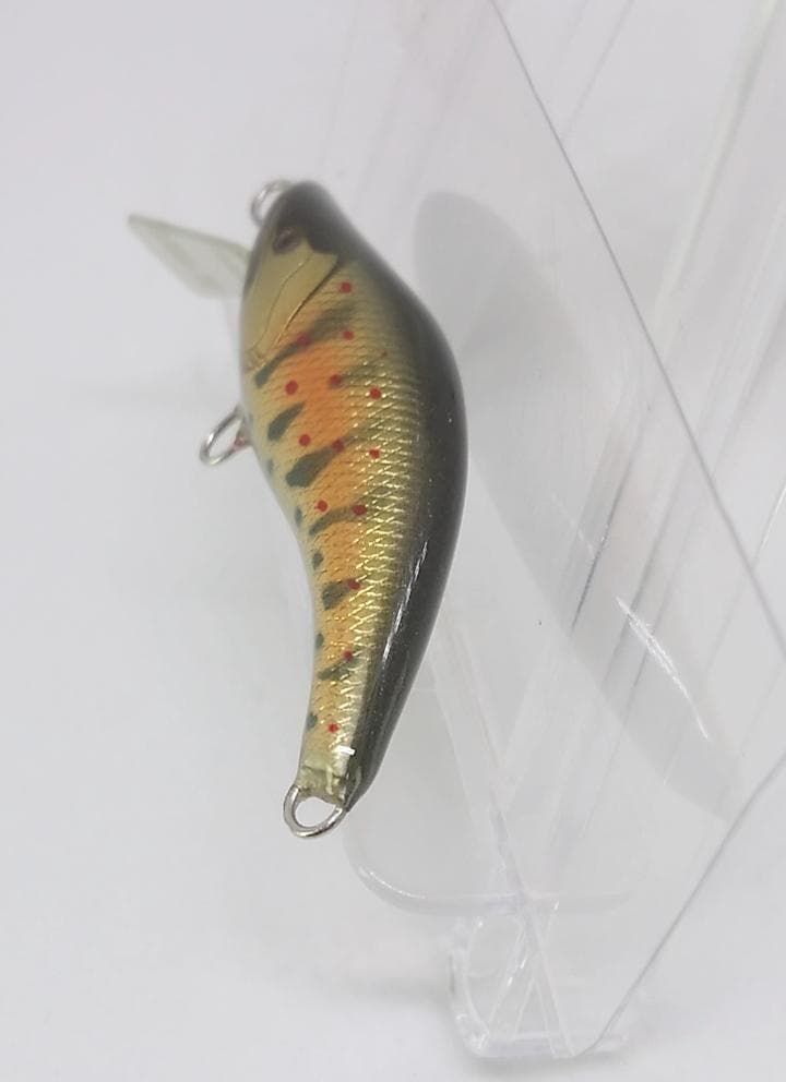 麗’s GOLD 　麗’sミノー　ステイゴールド　50HS　グリーンアマゴ