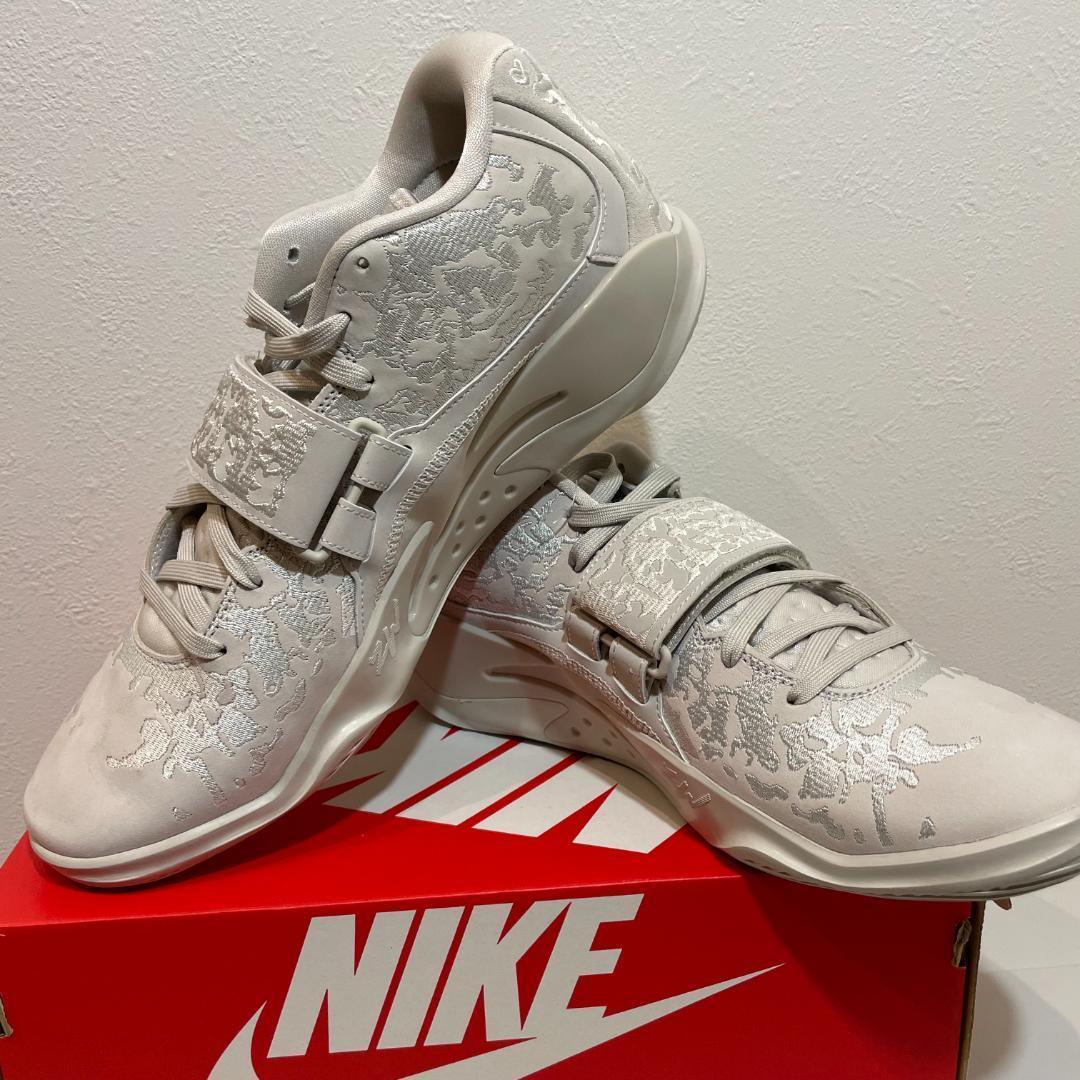 30cm NIKE ジョーダン ザイオン3 SE PF FN1778-040