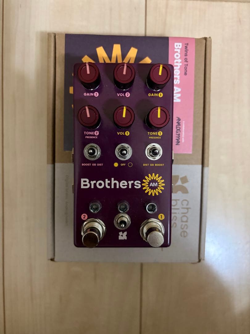 ギター Chase Bliss BROTHERS AM