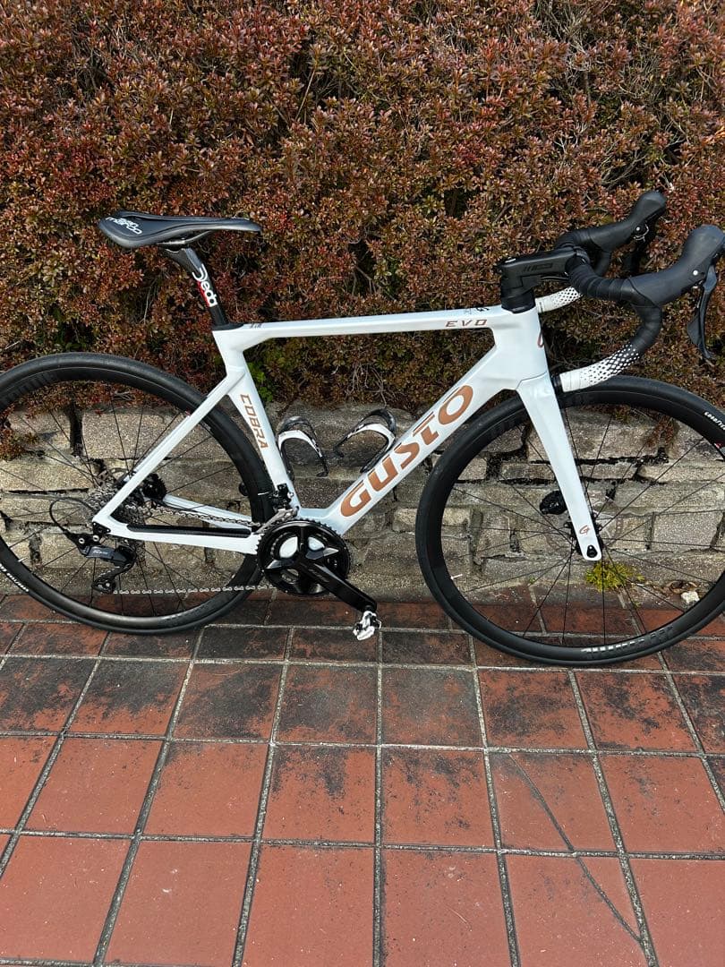 gusto COBRA EVO DB ELITE フレーム新品