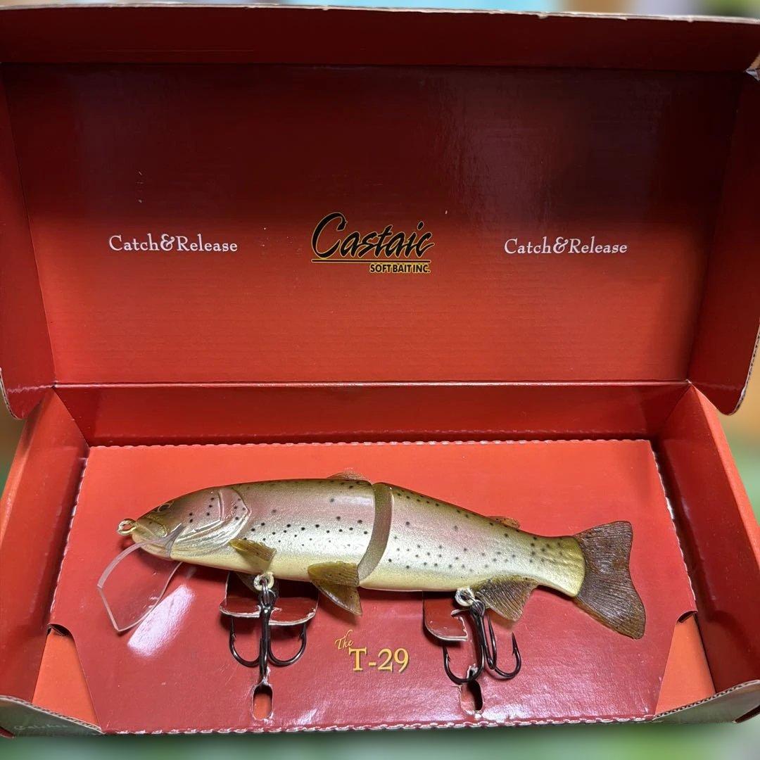 Castaic T-29 新品未使用