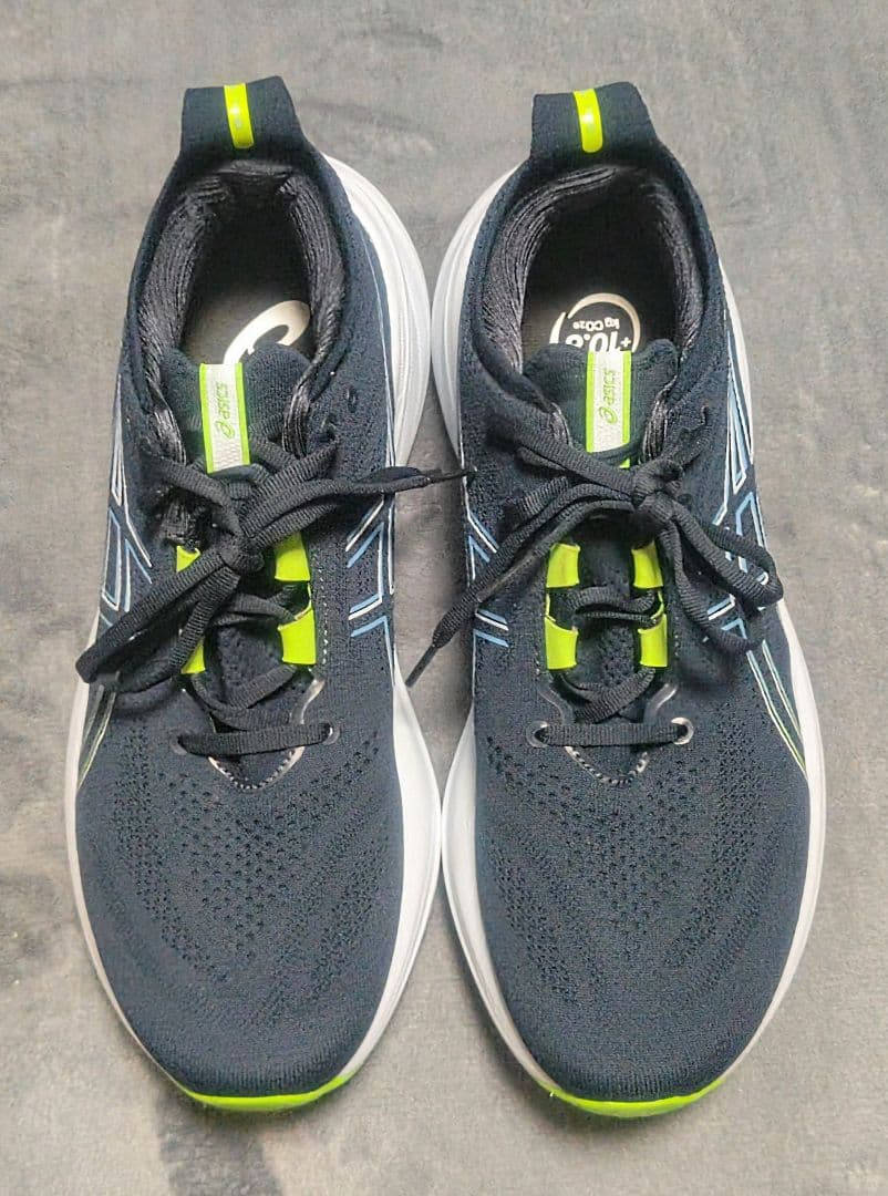 ASICS ゲルニンバス26 27.5cm