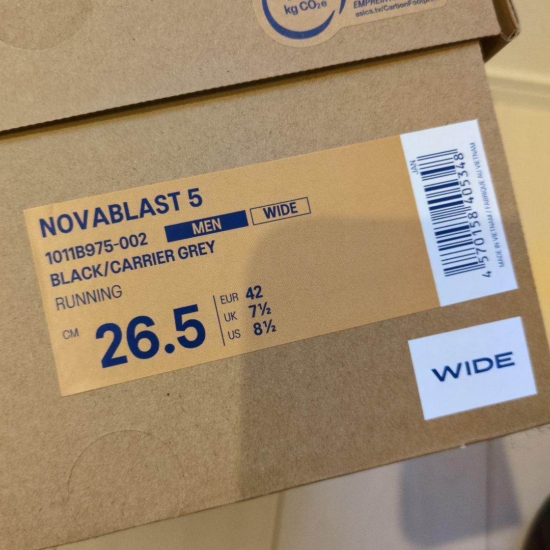 ASICS ノヴァブラスト5 26.5cm