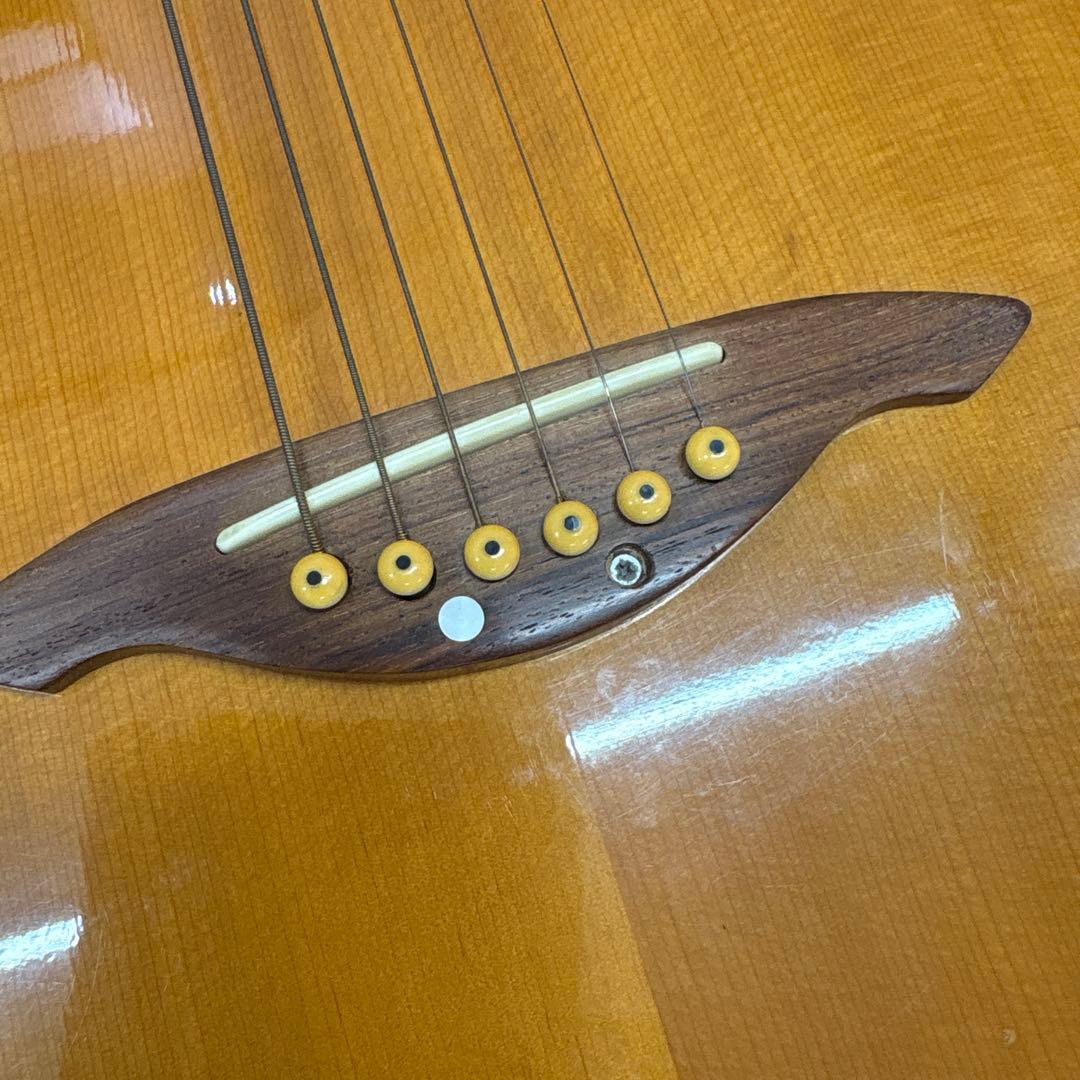 TOKAI トーカイ　エレアコギター　ワンオーナー