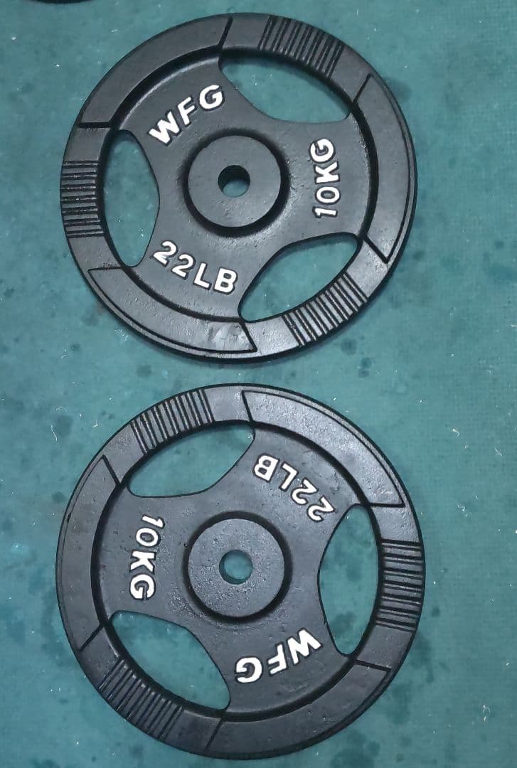 美品 ワイルドフィット 10kgプレート2枚 28mm 用
