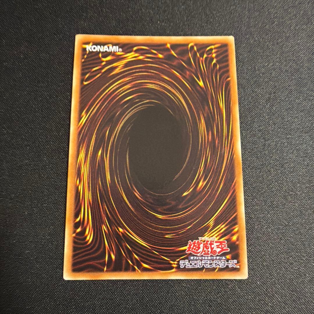 ナチュルパルキオン DTC シークレット 遊戯王