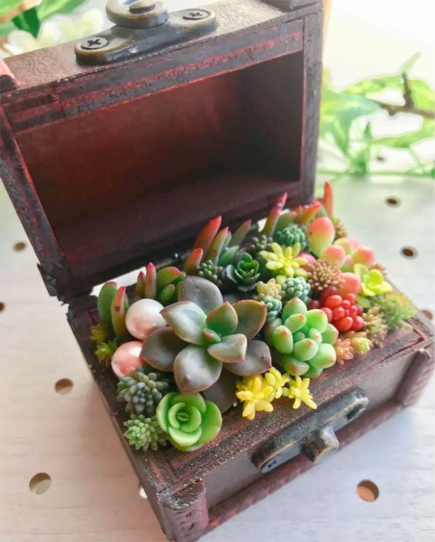 ★★豪華❤️★ヴィンテージボックス★寄せ植え★このまま飾れます★多肉植物