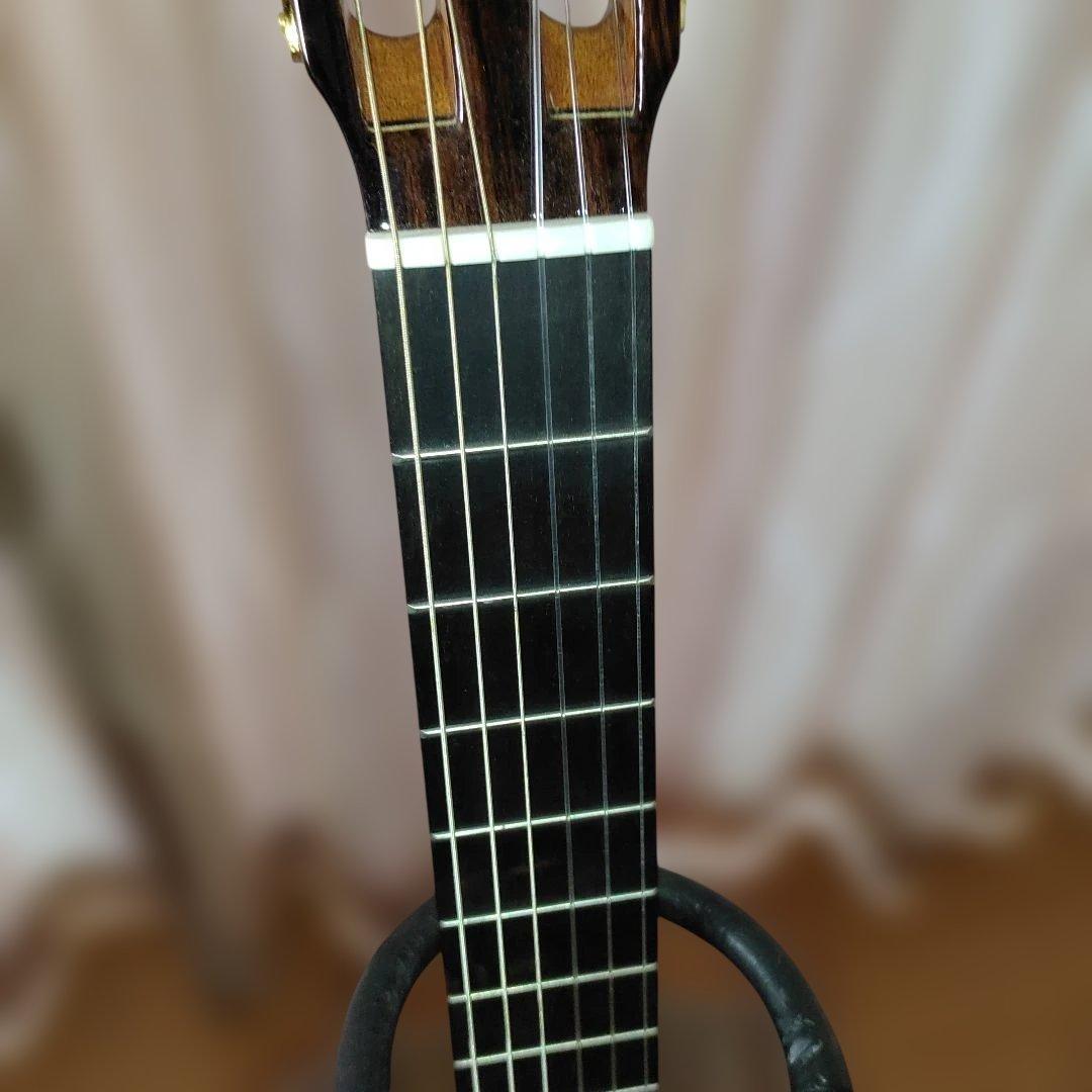 Aria A-50C-63 アコースティックギター