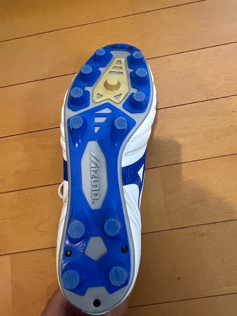 廃盤モデル　MIZUNO モナルシーダJAPAN