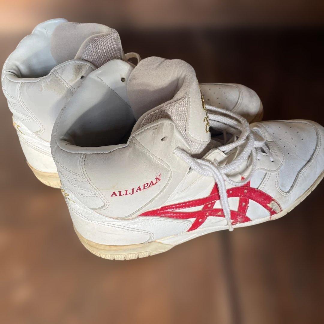 ASICS ファブレ ALL JAPAN SL-L