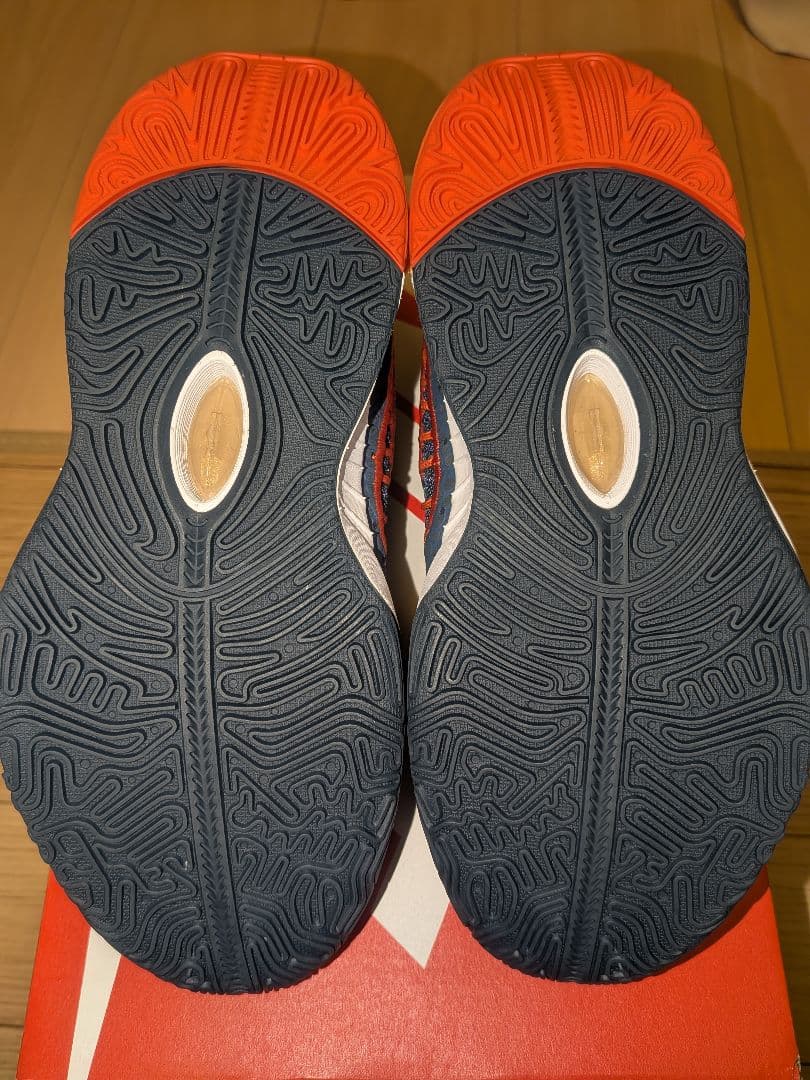 シューズ(女性用) NIKE LEBRON 21 OLYMPIC (GS) FV3606-400