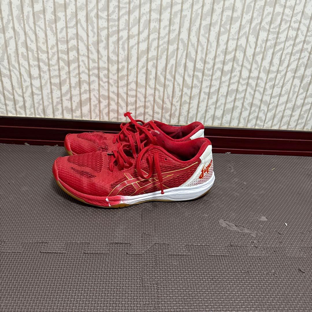 Mizuno バレーボールシューズ関田誠大選手モデル (おまけ付き)(26cm)