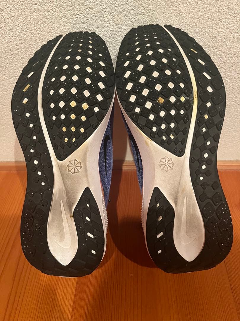 NIKE ペガサス41