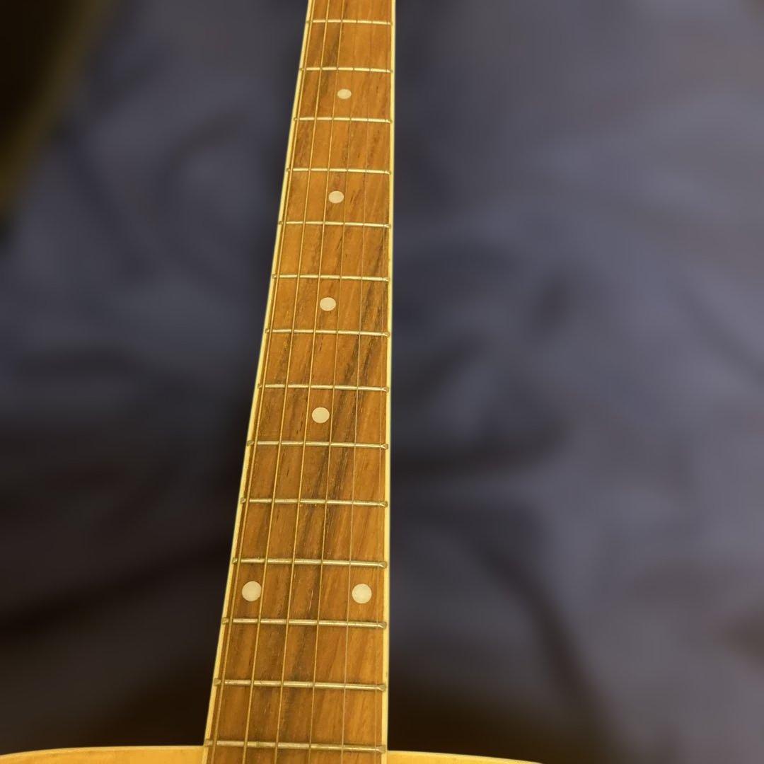 Sepia Cruz WG-10 N アコースティックギター