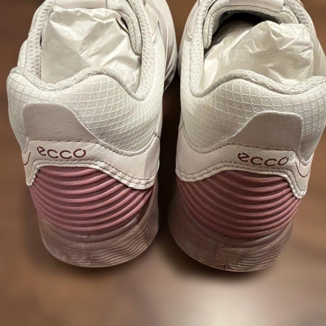 新品　ecco ゴルフシューズ 24.5cm