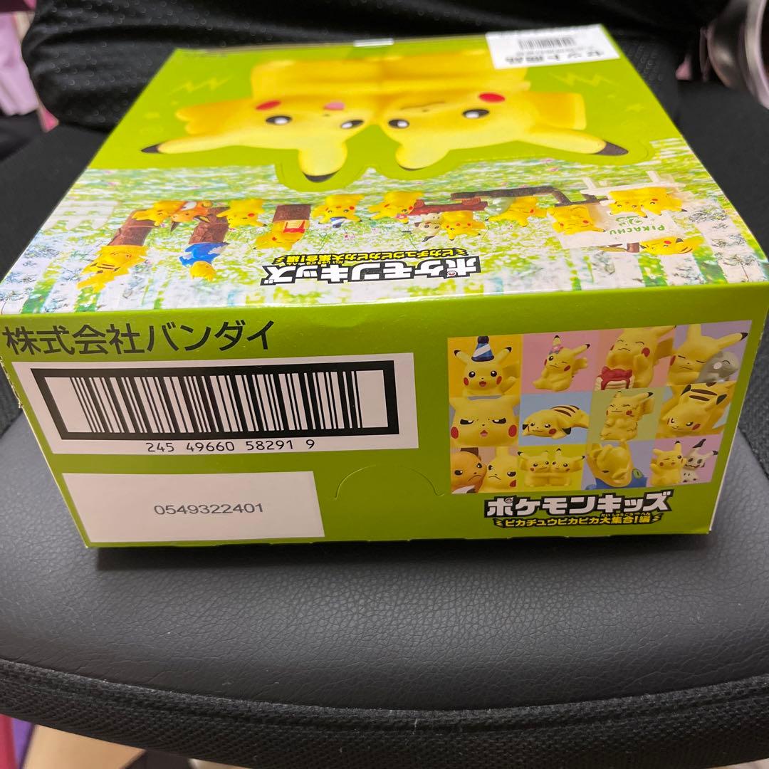 ポケモンキッズ　ピカチュウピカピカ大集合！編