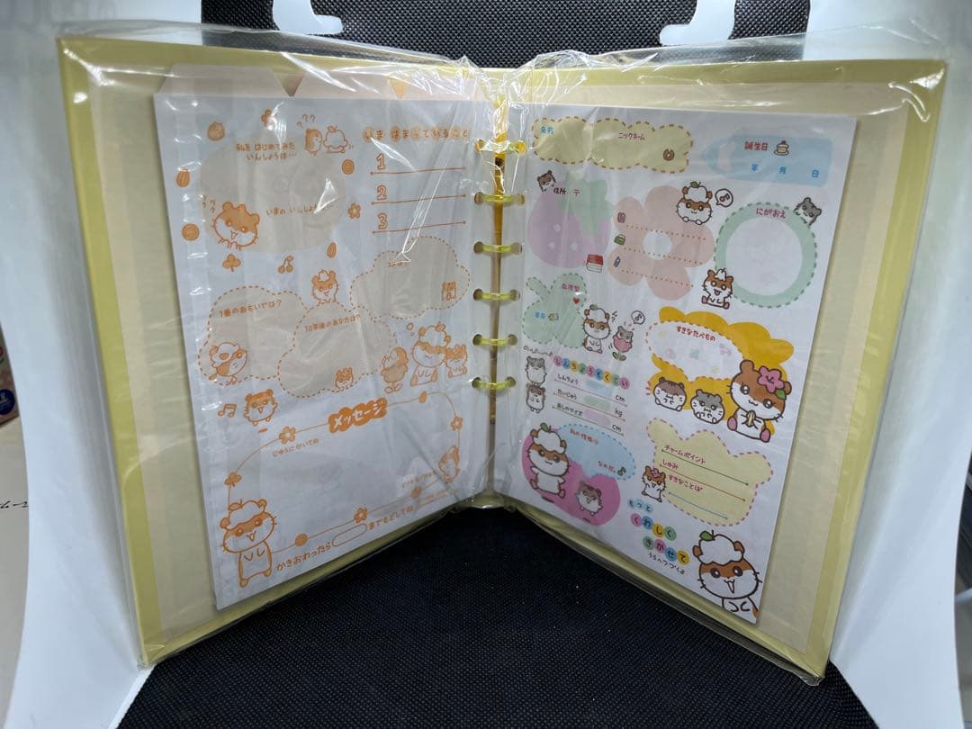 【新品未使用】コロコロクリリン　サイン帳　6穴バインダー　サンリオ