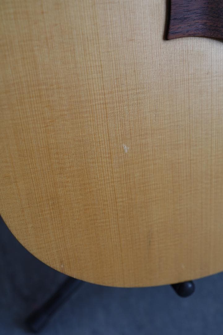 Seagull Excursion Walnut SG カナダ製　アコギ
