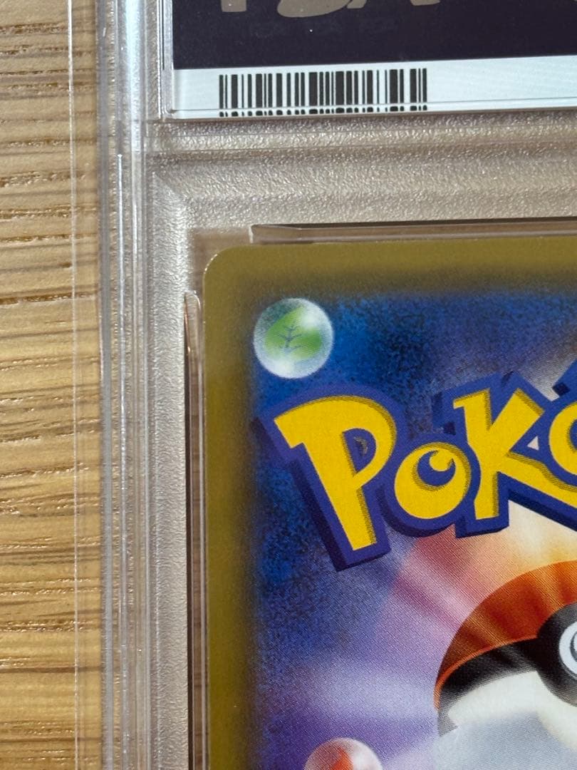 ムサシとコジロウ SM10b psa10