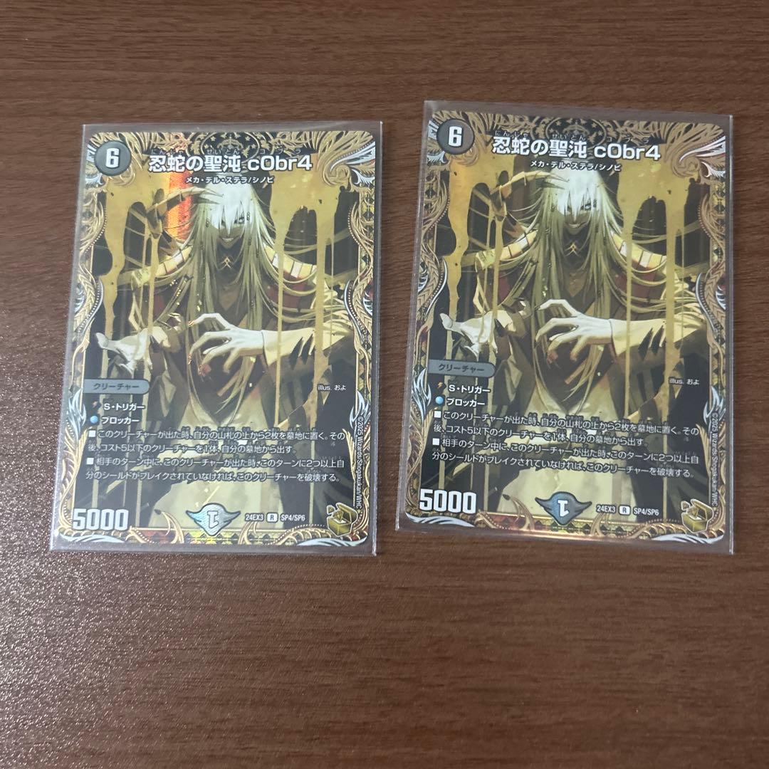 忍蛇の聖沌c0br4 2枚セット