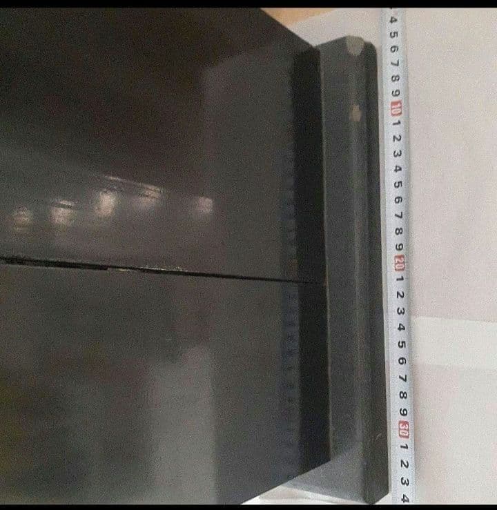 極逸品　辨財尊天　仏像　朱墨　大型厨子