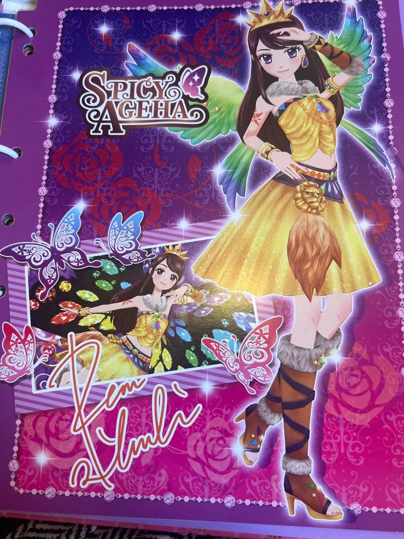 アイカツカード バインダー 9ポケット