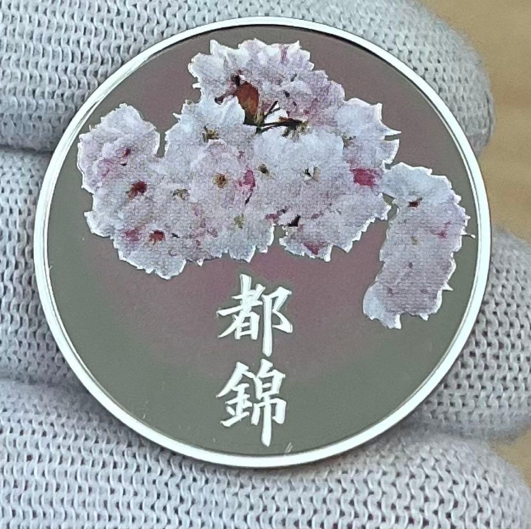 造幣局 桜の通り抜け2010都錦 セット出し銀メダル（silver925）