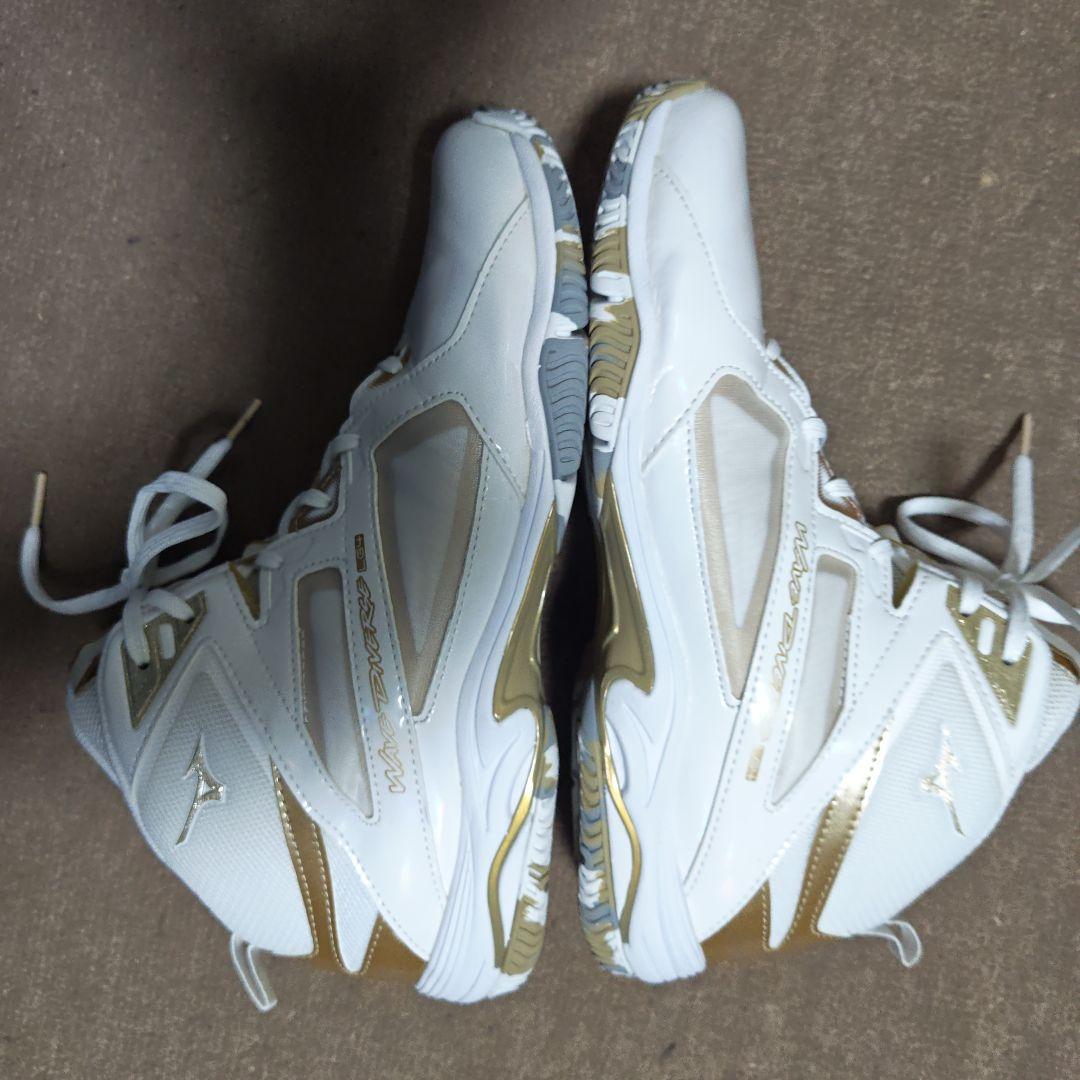 その他 Mizuno WAVE DIVERSE L4 Ltd 27.0cm