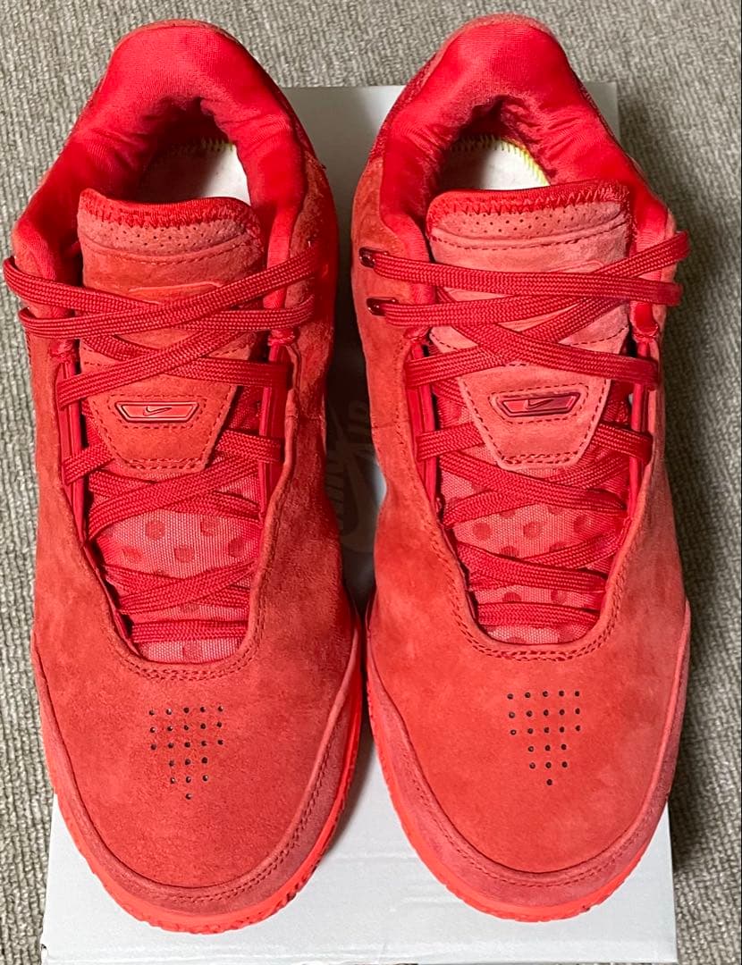 NIKE レブロン NXXT Gen AMPD EP 26.5