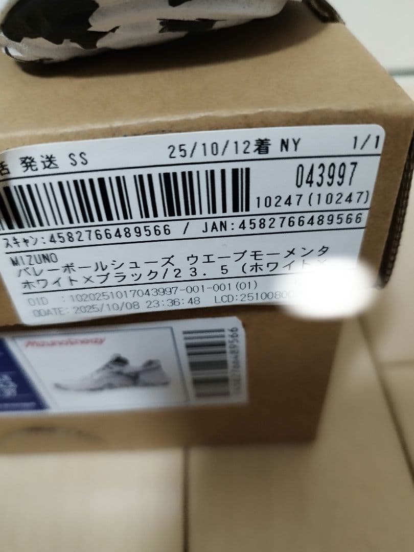 バレー　シューズ　モーメンタム　23.5