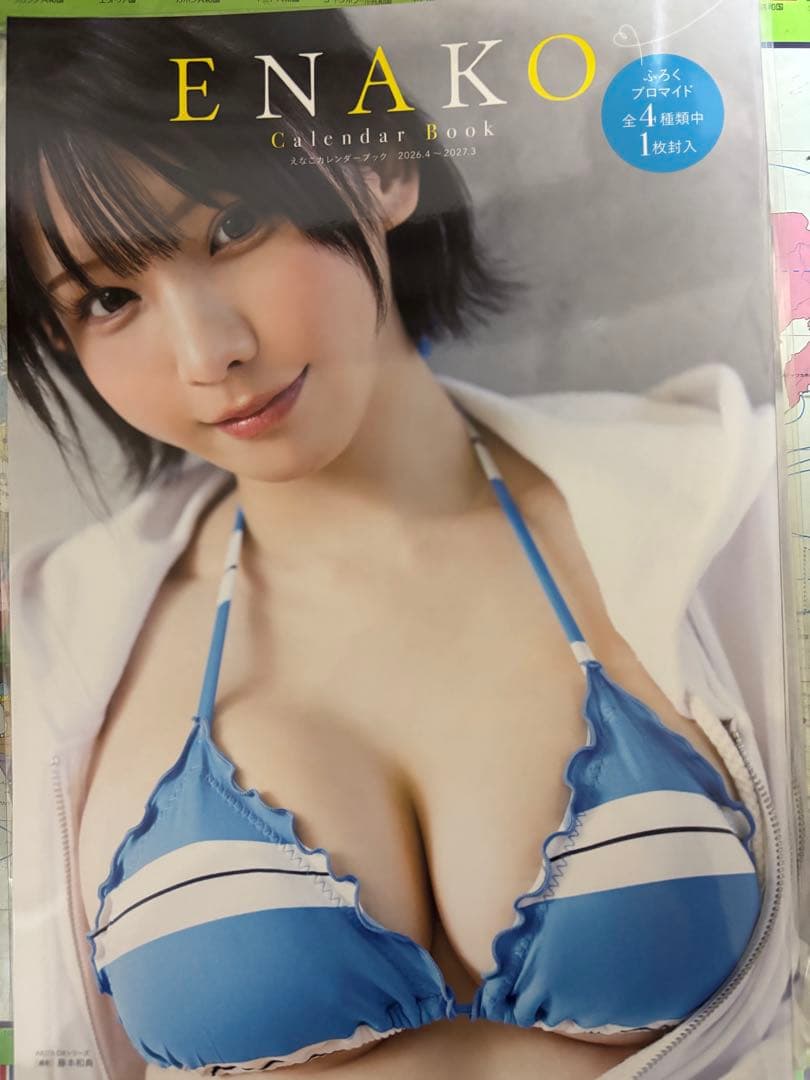 えなこ　ポスター　カレンダー付き