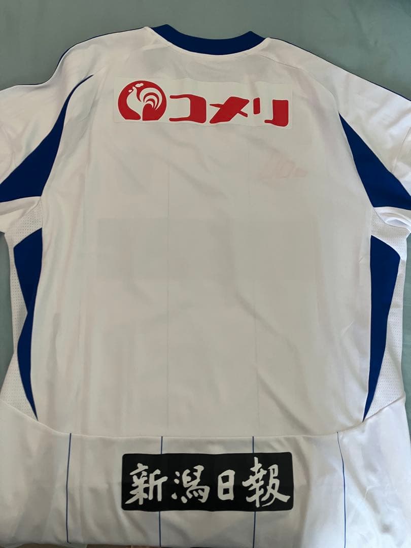 2025 アルビレックス新潟 2nd ユニフォーム XL（4XL）
