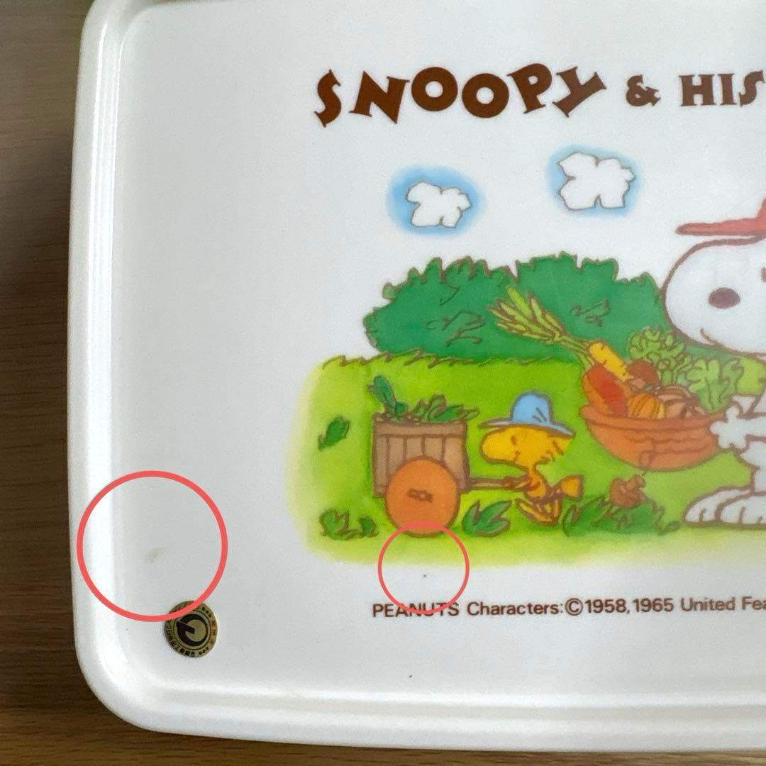 【未使用】 スヌーピー ピクニックセット （L）