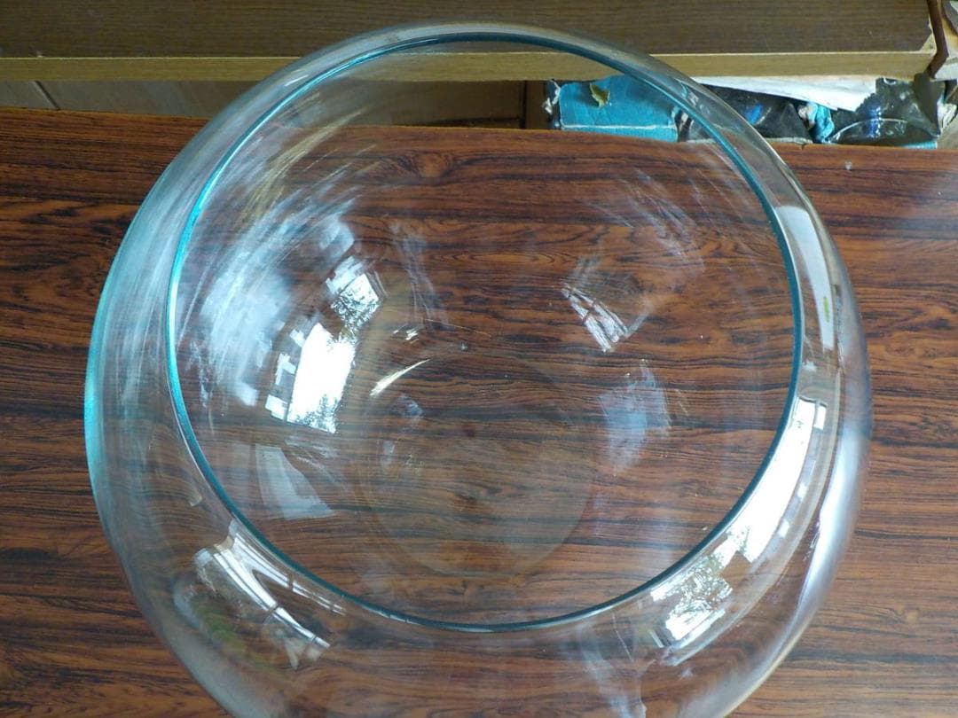 LEO レオタカオカ製 F-363 クリア グラスボール 金魚鉢